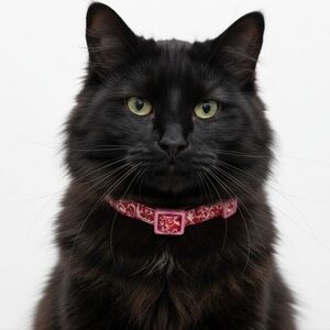 Petco Pink red white paisley graphics breakaway kitten cat kitty collar S NWOT